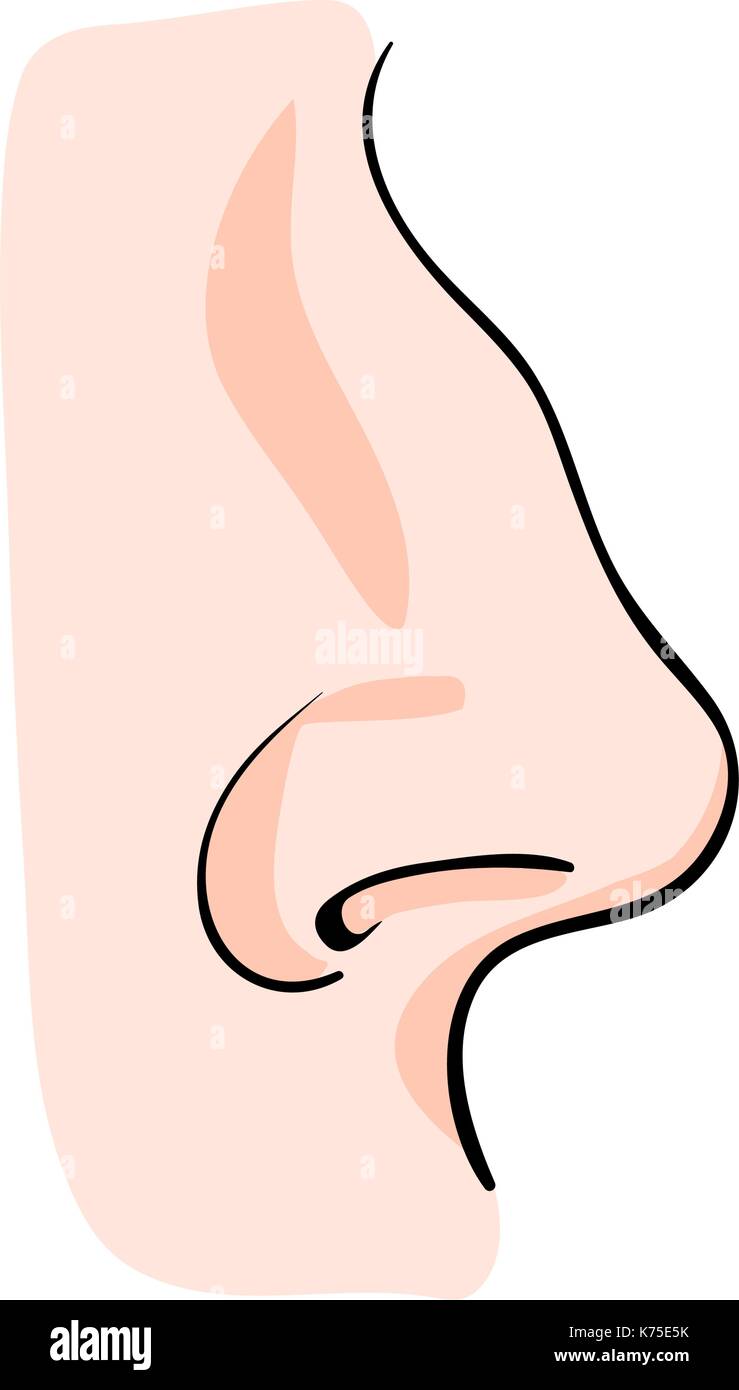 Cartoon nose hi-res stock photography and images - Alamy Cartoon nose hi-res stock photography and images - Alamy