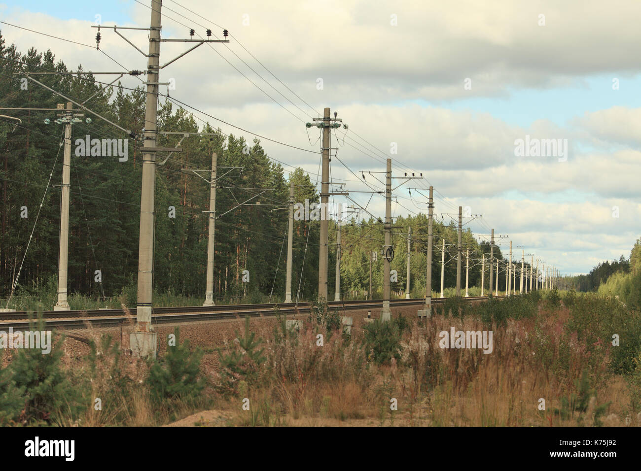 railway going into the distance through forest, summer landscape Stock Photo