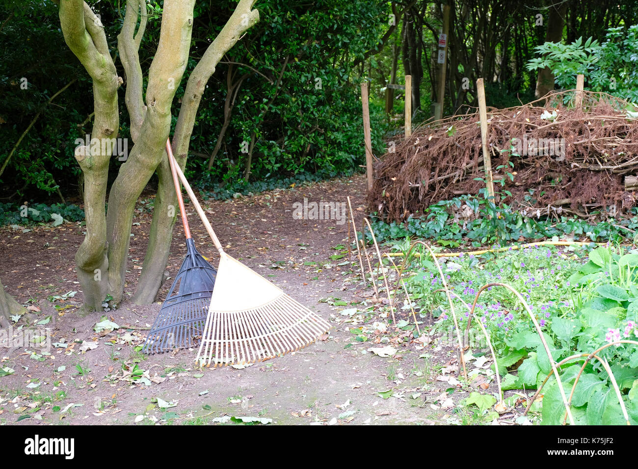 Dead Hedge under construction as a means to create a wildlife corridor in local public gardens Stock Photo