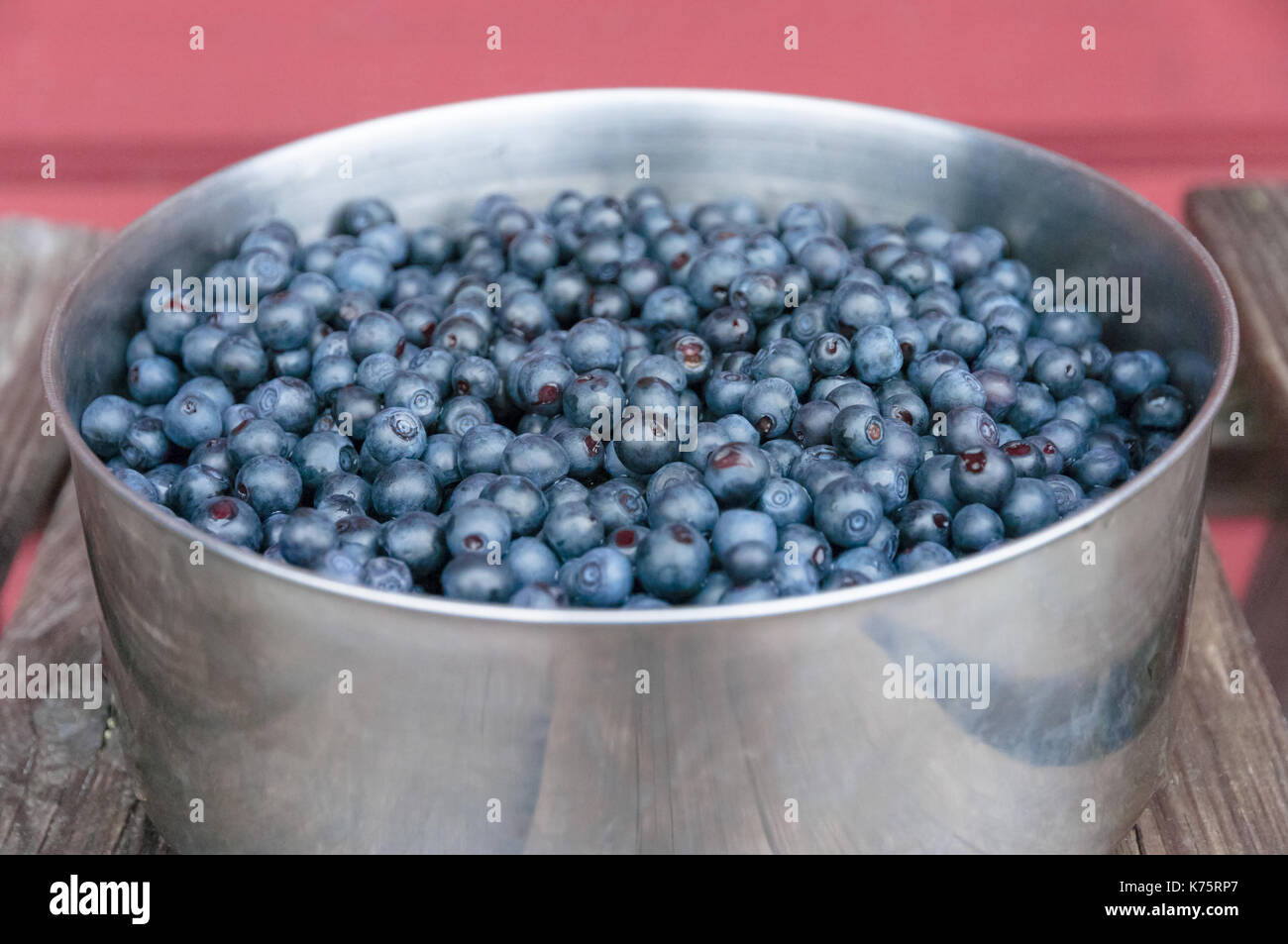 Handpicked blueberries in a pot Stock Photo Alamy