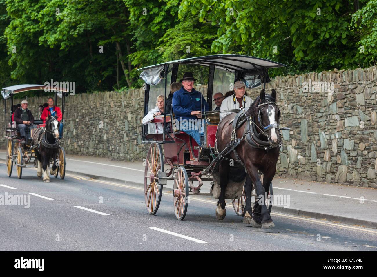 Ireland, County Kerry, Ring of Kerry, Killarney, Jaunting Cars, horsedrawn carriages Stock