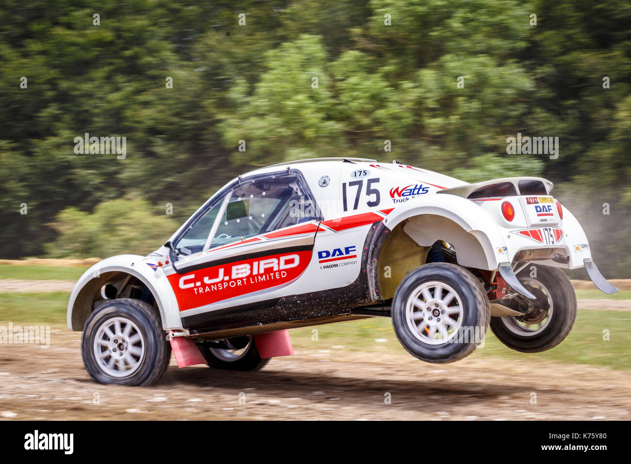 2015 Rivet Buggy Safari Championship car with driver Chris Bird at the 2017  Goodwood Festival of Speed, Sussex, UK Stock Photo - Alamy