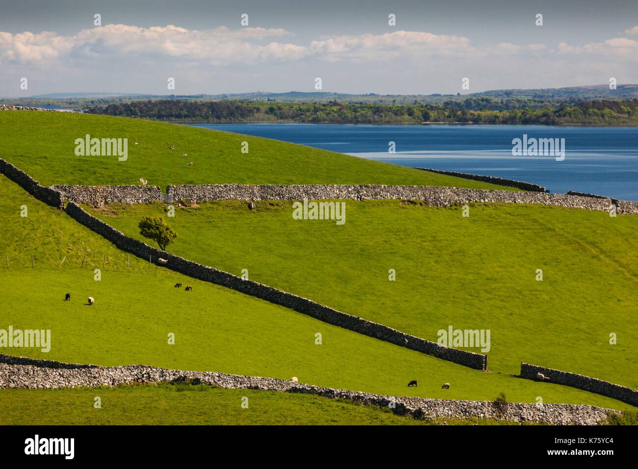 Ireland, County Galway, Cong, elevated springtime landscape Stock Photo ...