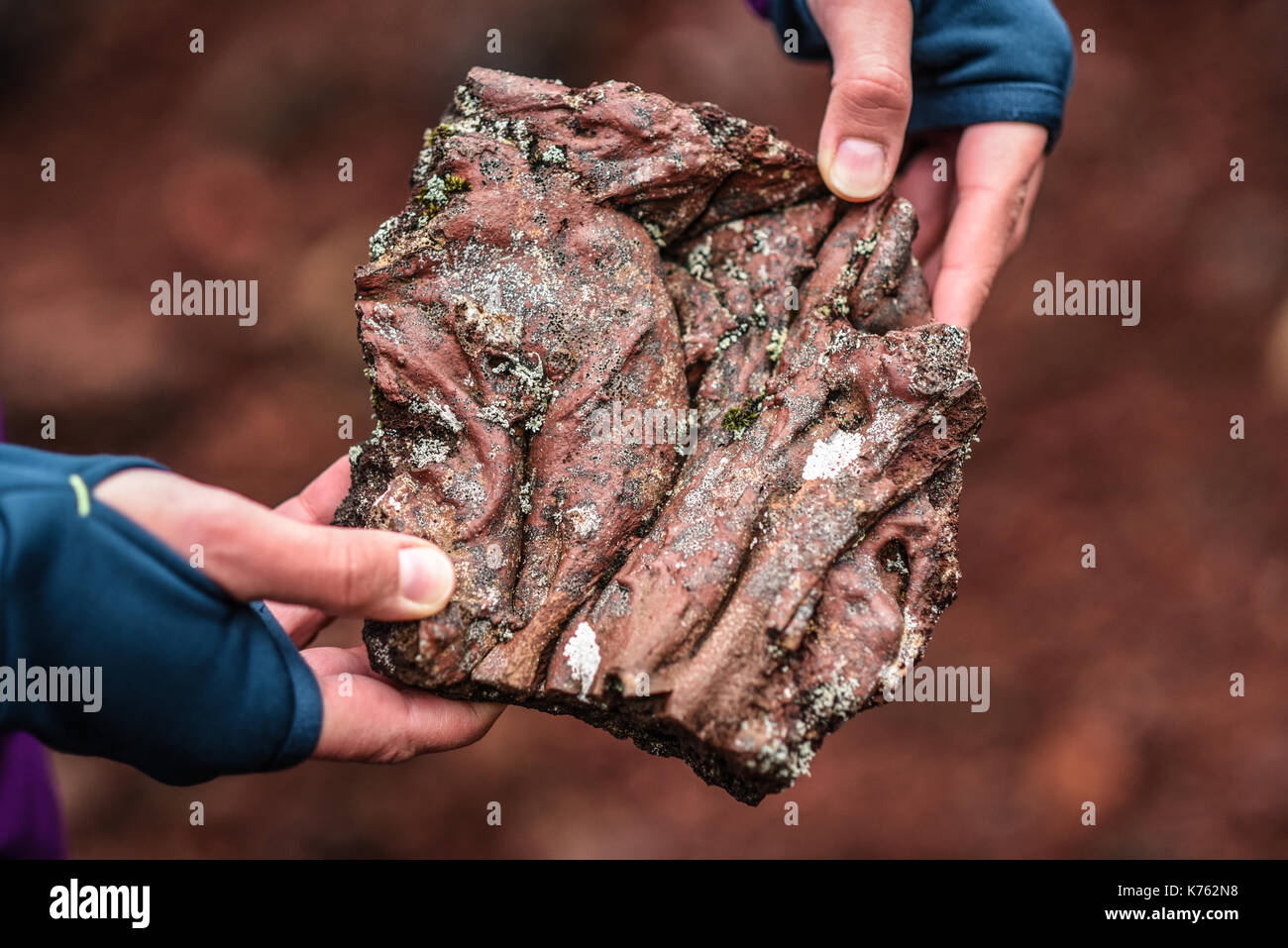 Porous Lava Rock Iceland High Resolution Stock Photography and Images ...
