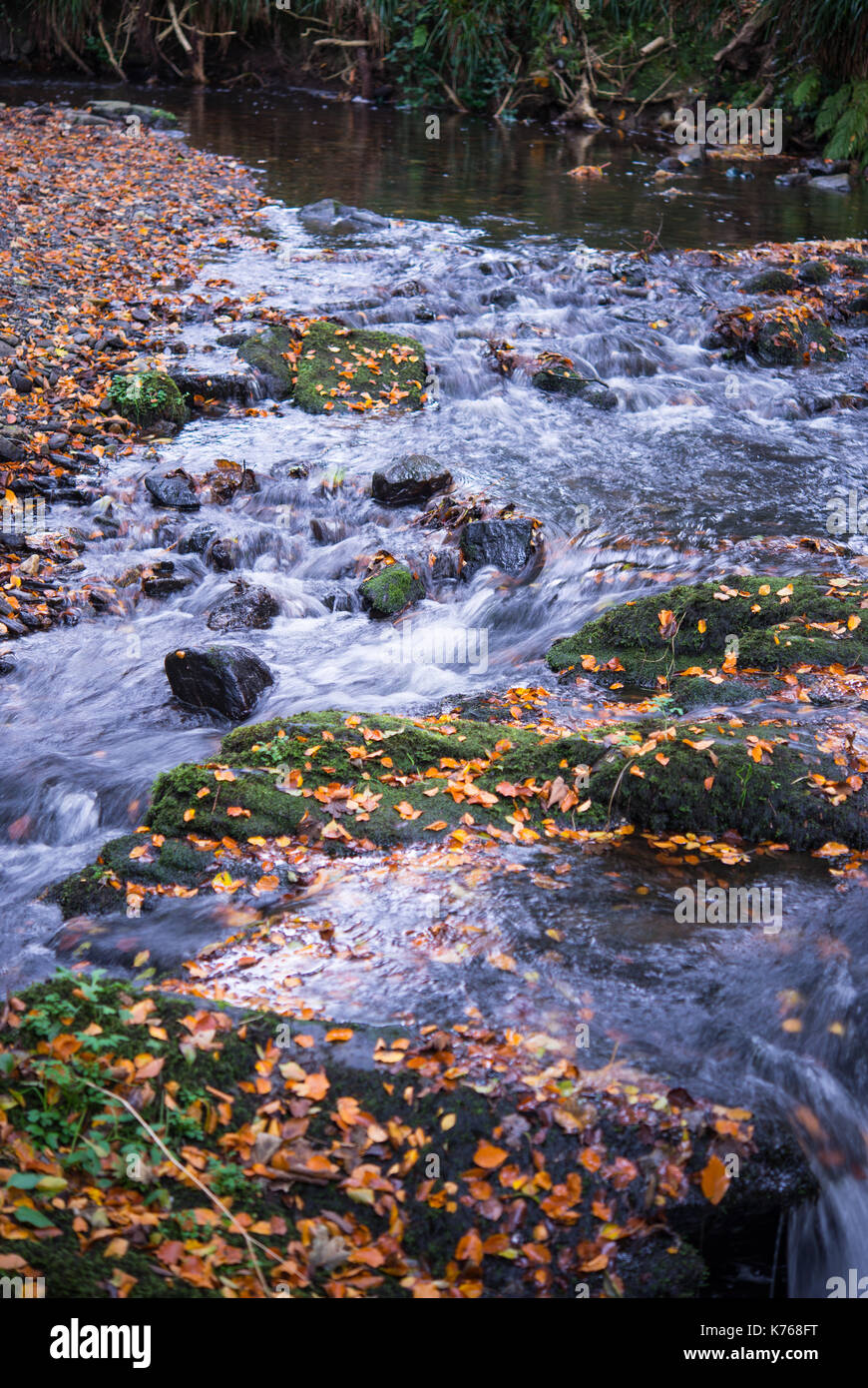 Colby Glen river in Autumn Stock Photo