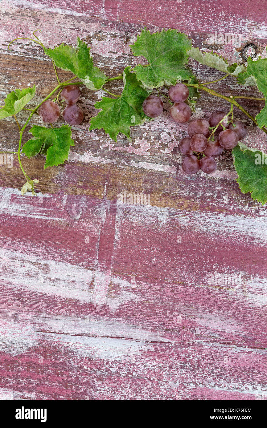 Vintage sweet advert hi-res stock photography and images - Alamy