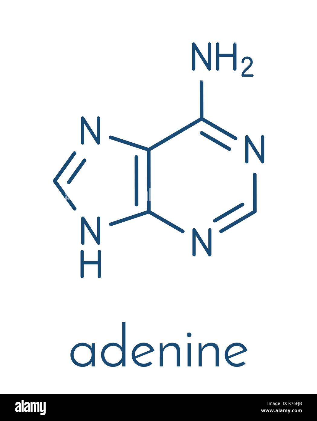 Adenine (A, Adenine) purine nucleobase molecule. Base present in DNA