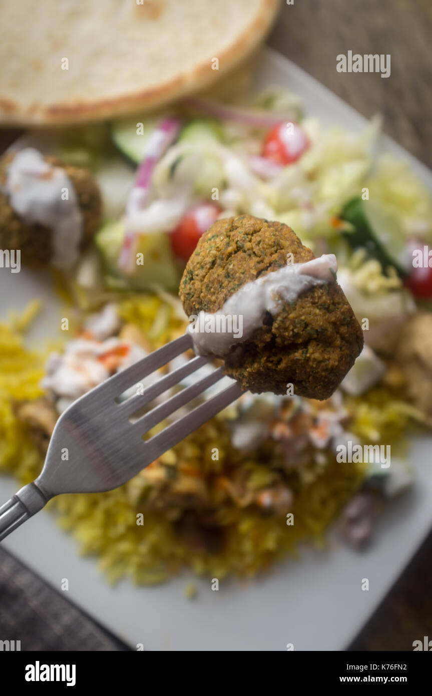 NYC street style Halal chicken and yellow rice with falafel and pita