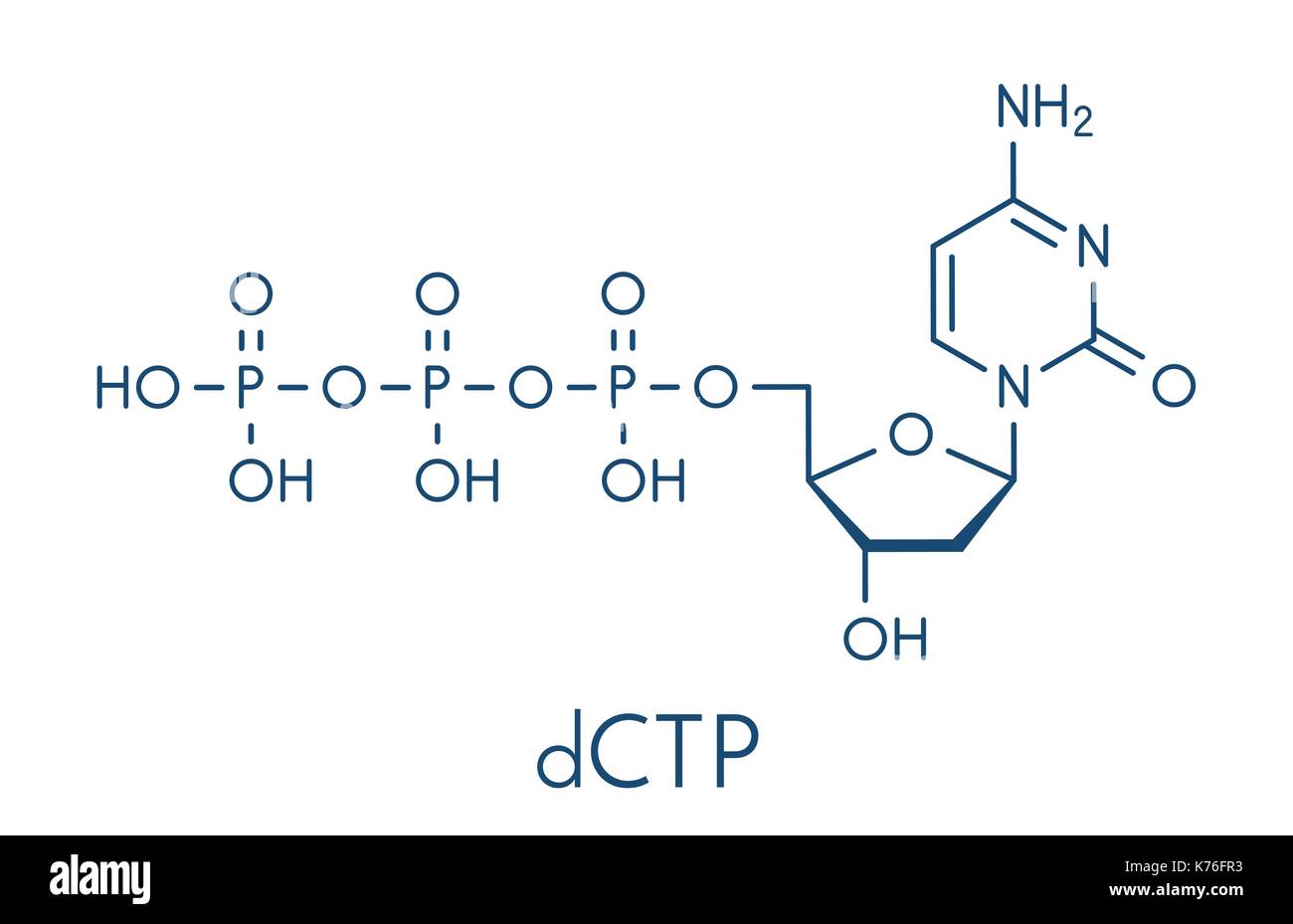 Deoxycytidine Triphosphate Dctp Nucleotide Molecule Dna Building Block Skeletal Formula Stock Vector Image Art Alamy