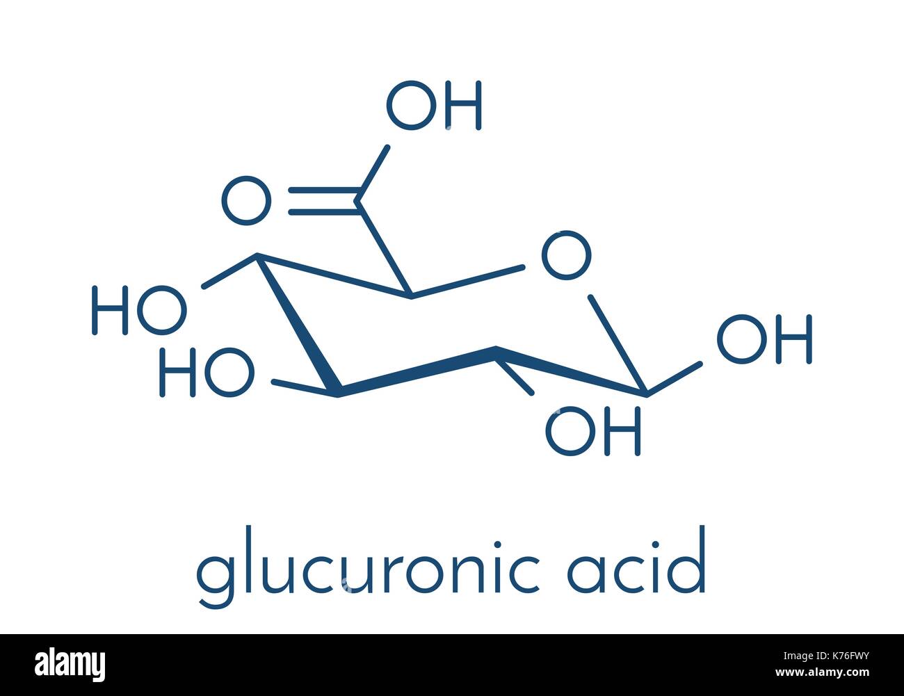 Glucuronic acid molecule. Glucuronidation of xenobiotics plays role in drug metabolism, giving glucuronides. Skeletal formula. Stock Vector