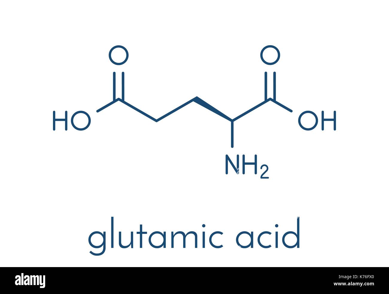 Glutamic acid (l-glutamic acid, Glu, E) amino acid and neurotransmitter molecule. Skeletal formula. Stock Vector
