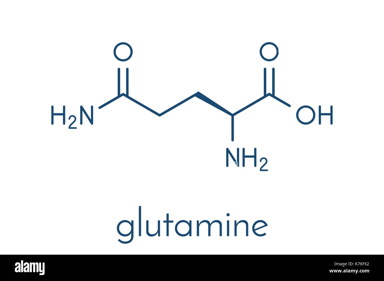 Glutamine (lglutamine, Gln, Q) amino acid molecule. Skeletal formula