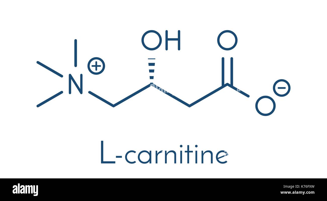 Carnitine food supplement molecule, chemical structure Skeletal formula Stock Vector Image & Art
