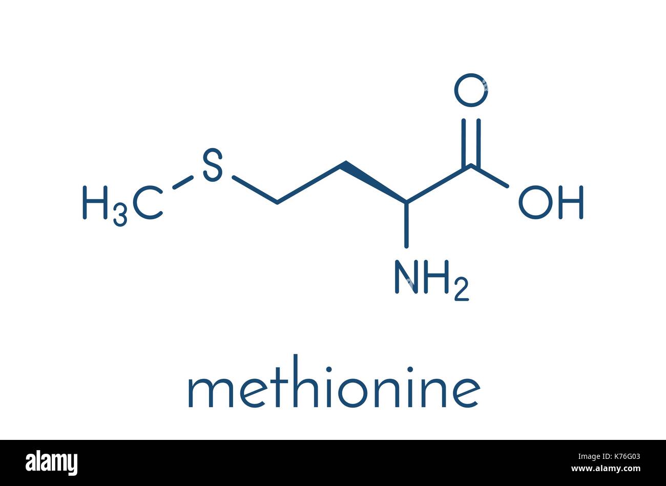 Methionine (l-methionine, Met, M) amino acid molecule. Skeletal formula. Stock Vector