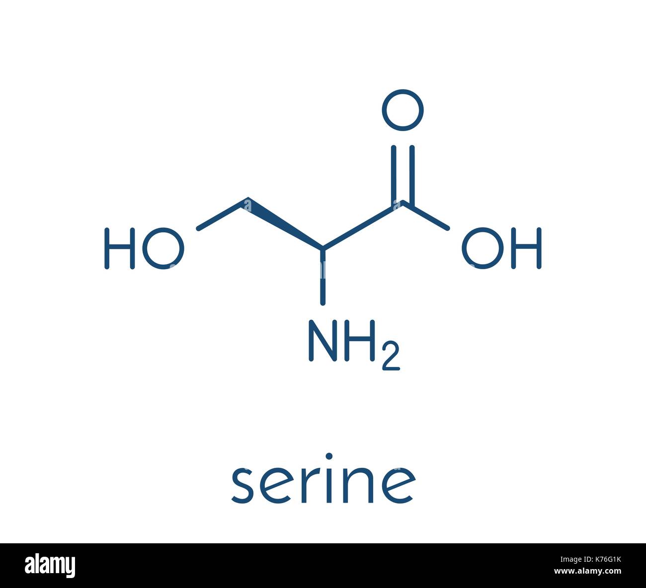 Serine (l-serine, Ser, S) amino acid molecule. Skeletal formula. Stock Vector