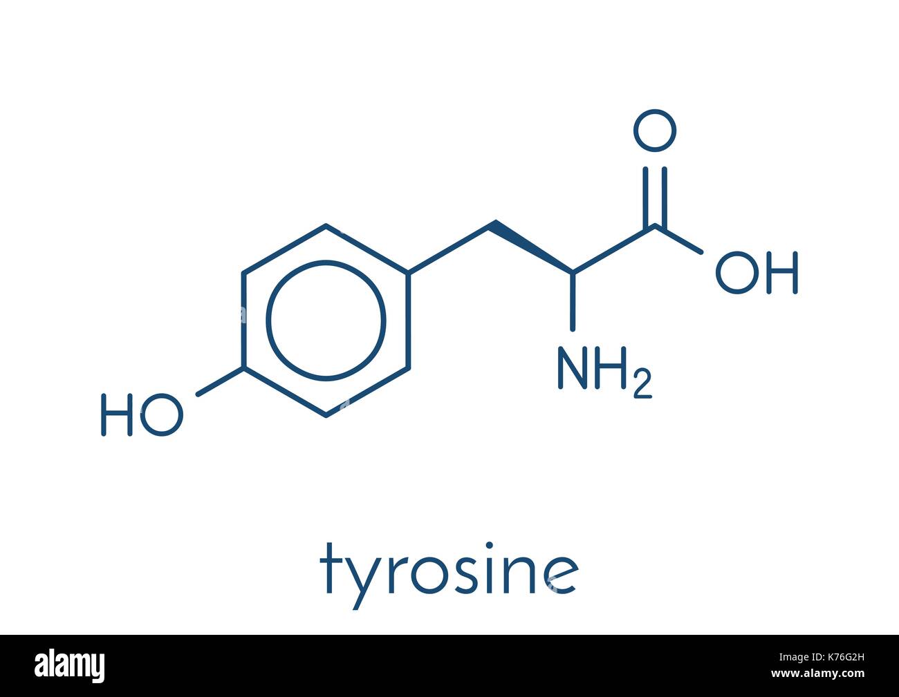 Tyrosine (ltyrosine, Tyr, Y) amino acid molecule. Skeletal formula