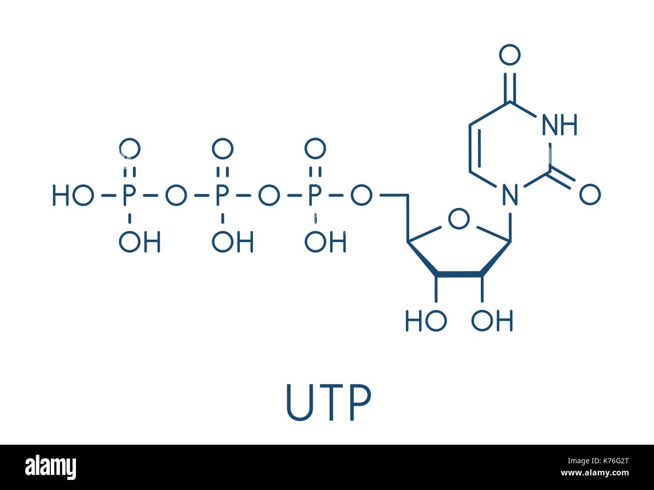 Uridine triphosphate (UTP) nucleotide molecule. Building block of RNA