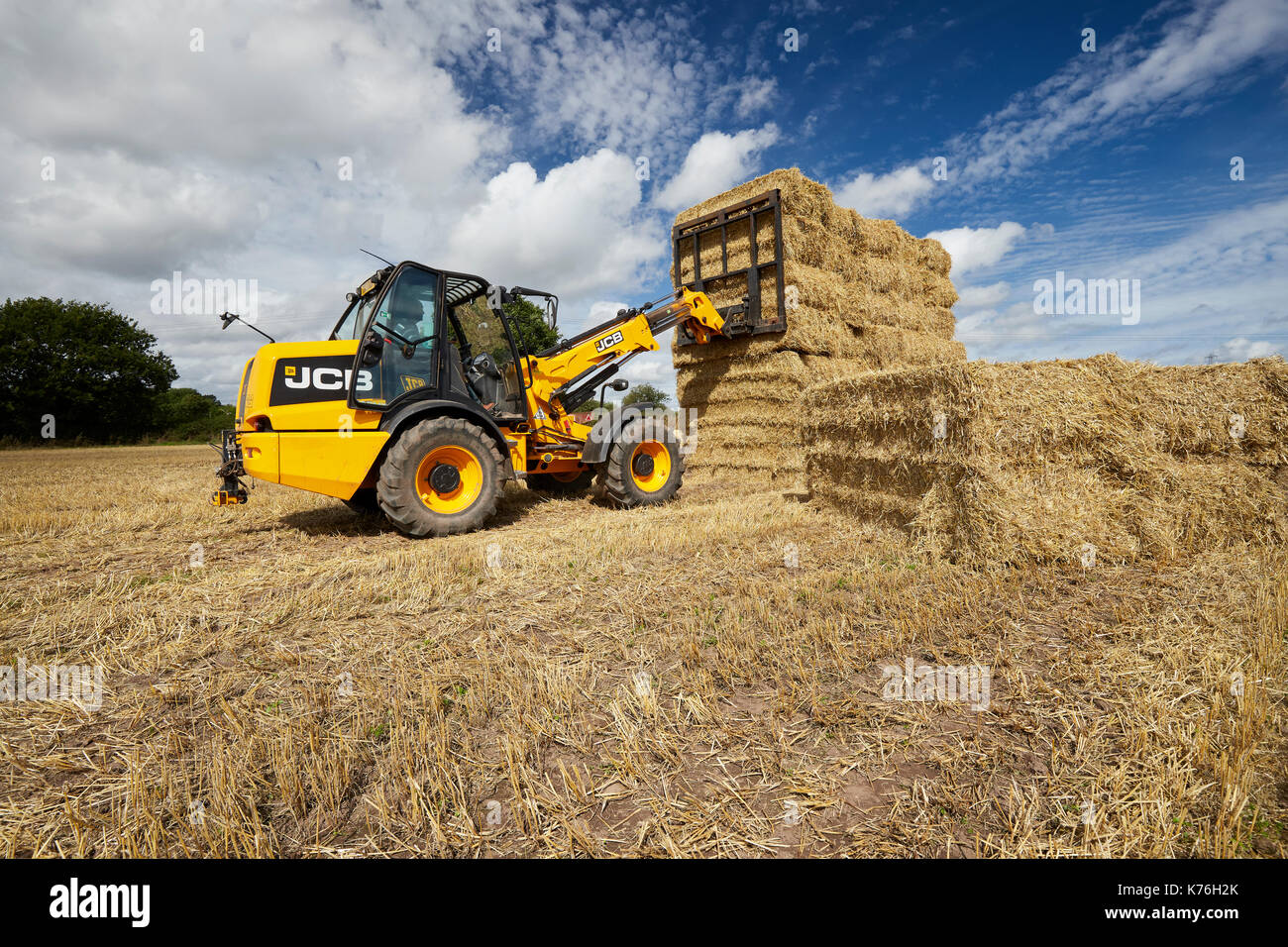 Stacking Straw bales with a JCB TM 130s during harvest UK Stock Photo