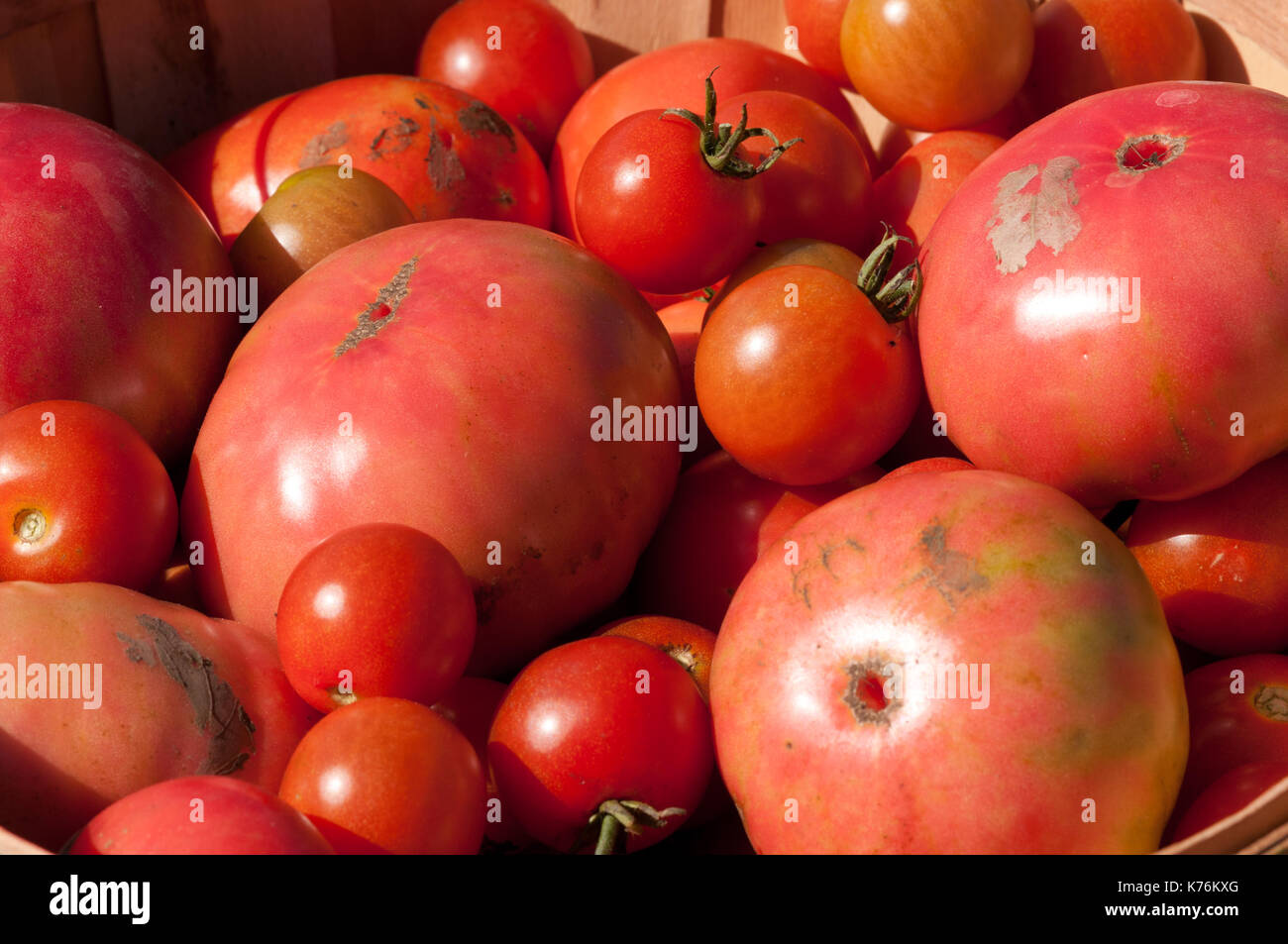 Bushel of tomatoes hires stock photography and images Alamy