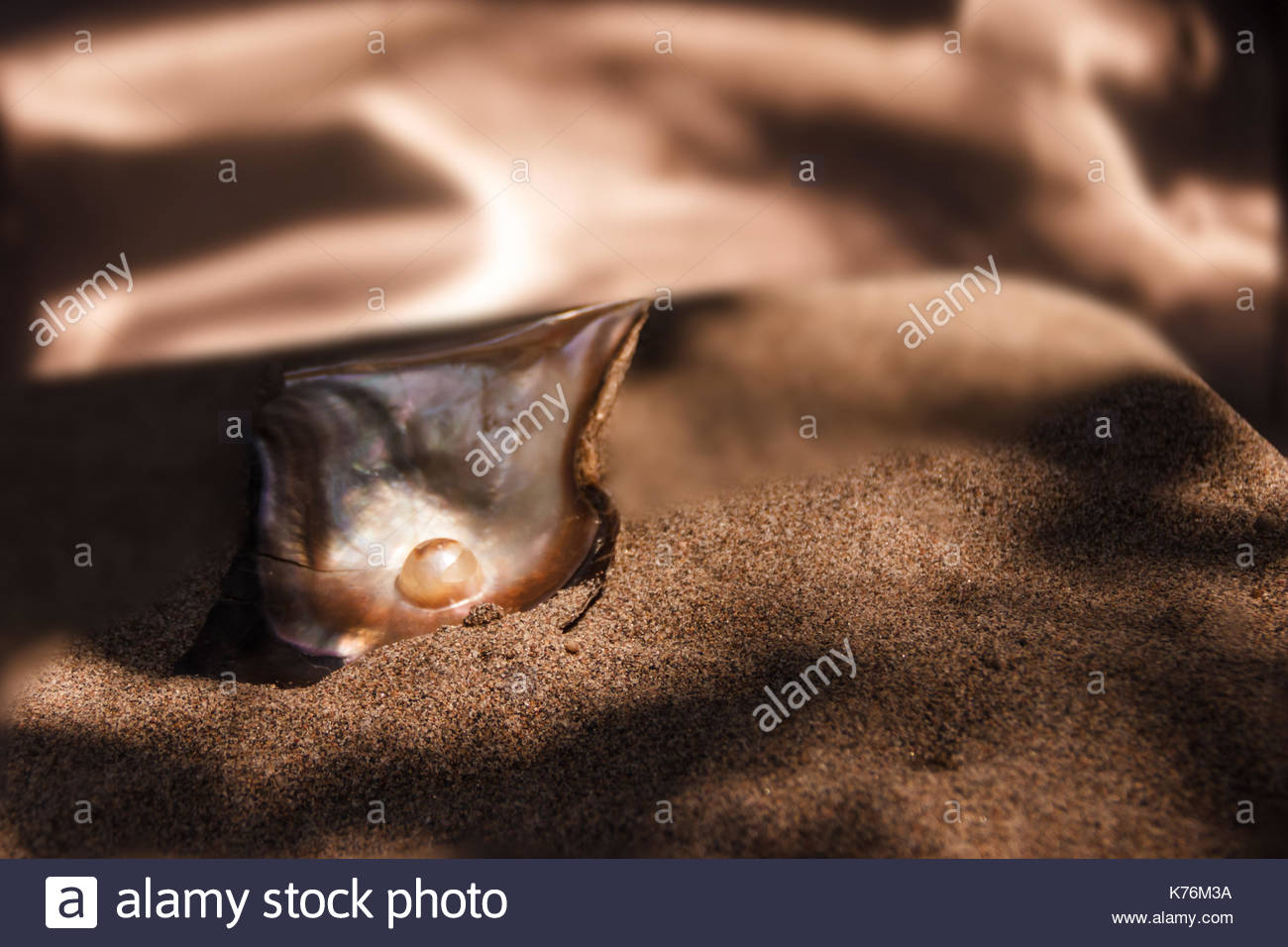 Pinctada High Resolution Stock Photography And Images - Alamy