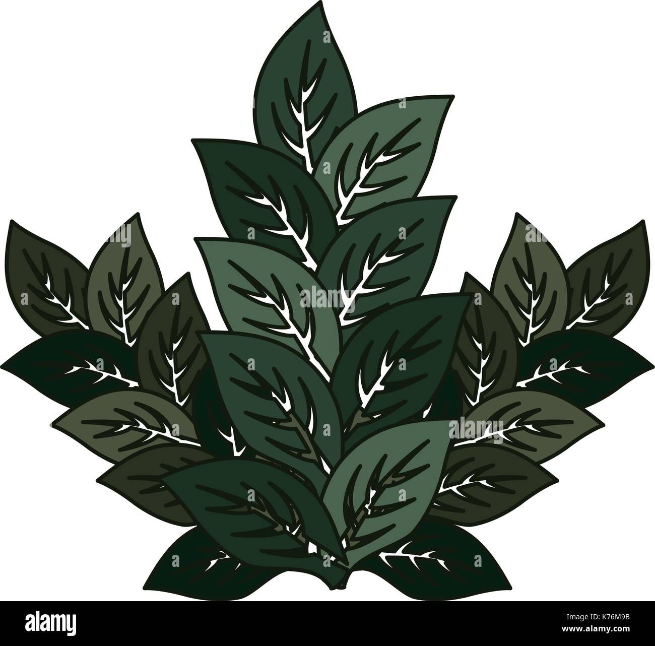 leaves icon over white background colorful design vector illustration ...