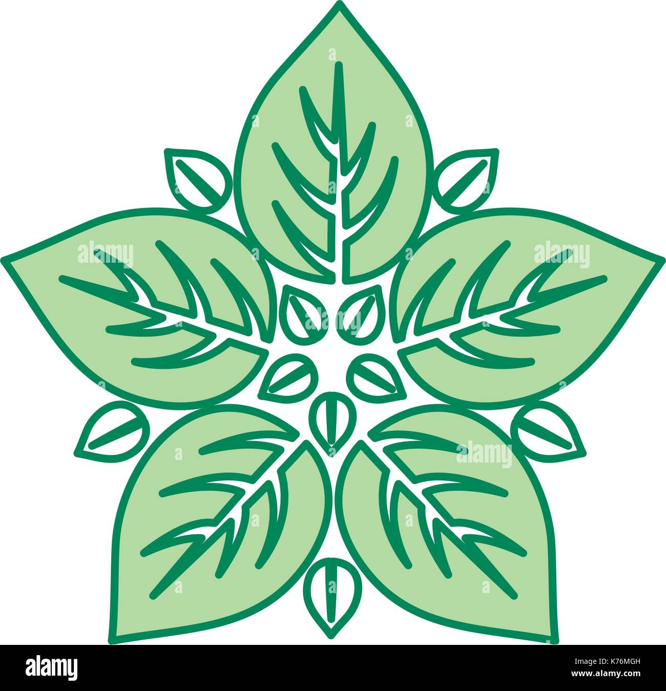 leaves icon over white background colorful design vector illustration ...
