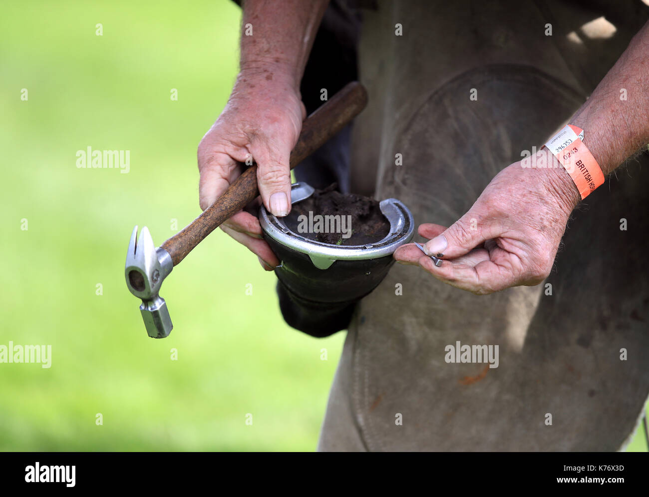 Horse being shod farrier horse hires stock photography and images Alamy