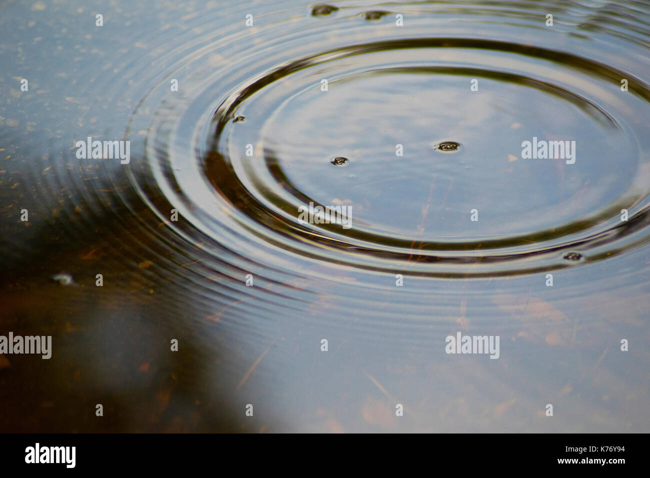 Macro photo of water ripples after a raindrop falls into a small puddle.. Stock Photo