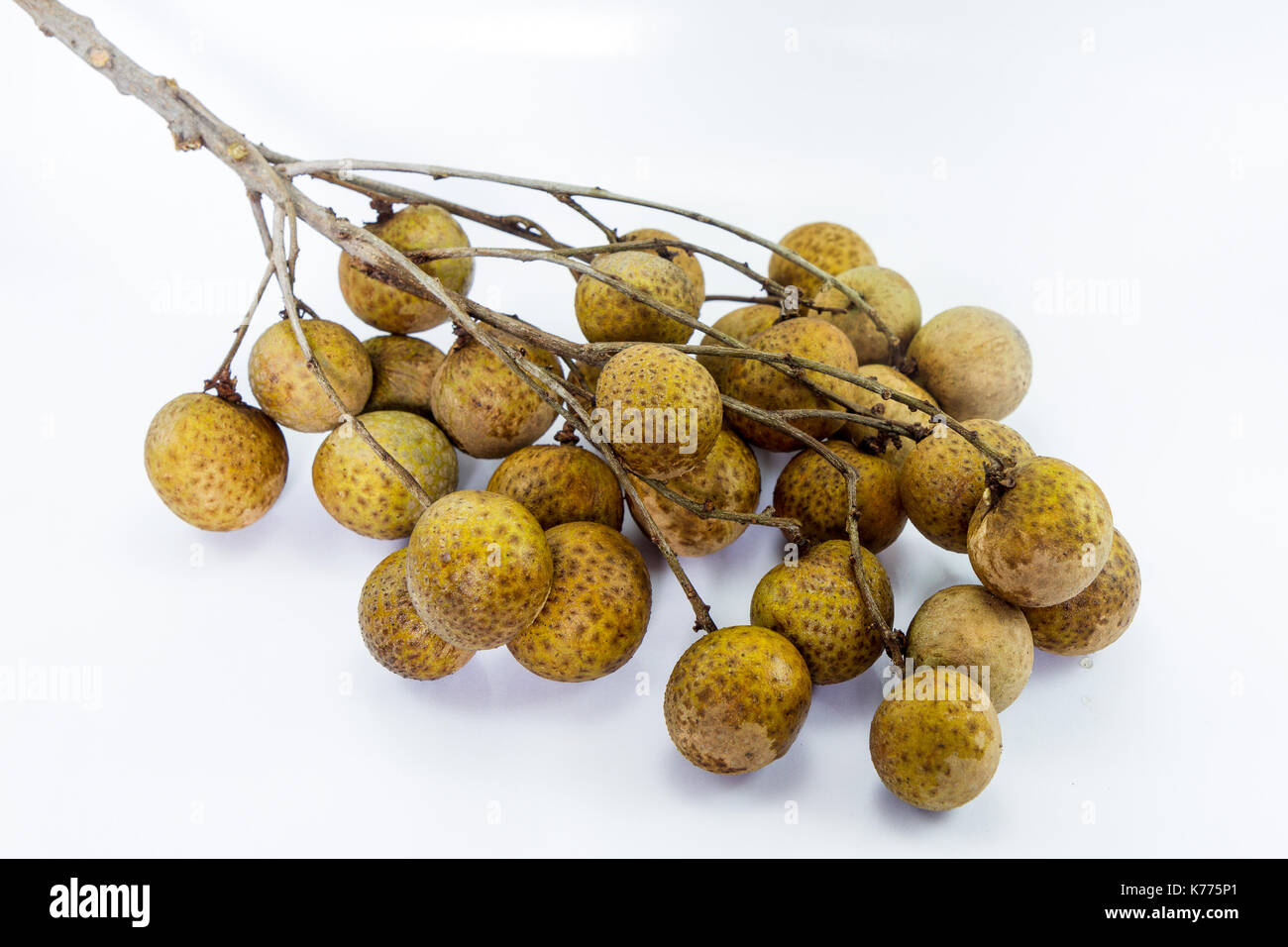 Longan (Dimocarpus longan) on white background Stock Photo - Alamy