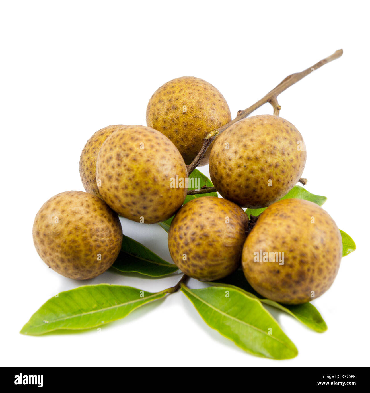 Longan (Dimocarpus longan) on white background Stock Photo - Alamy