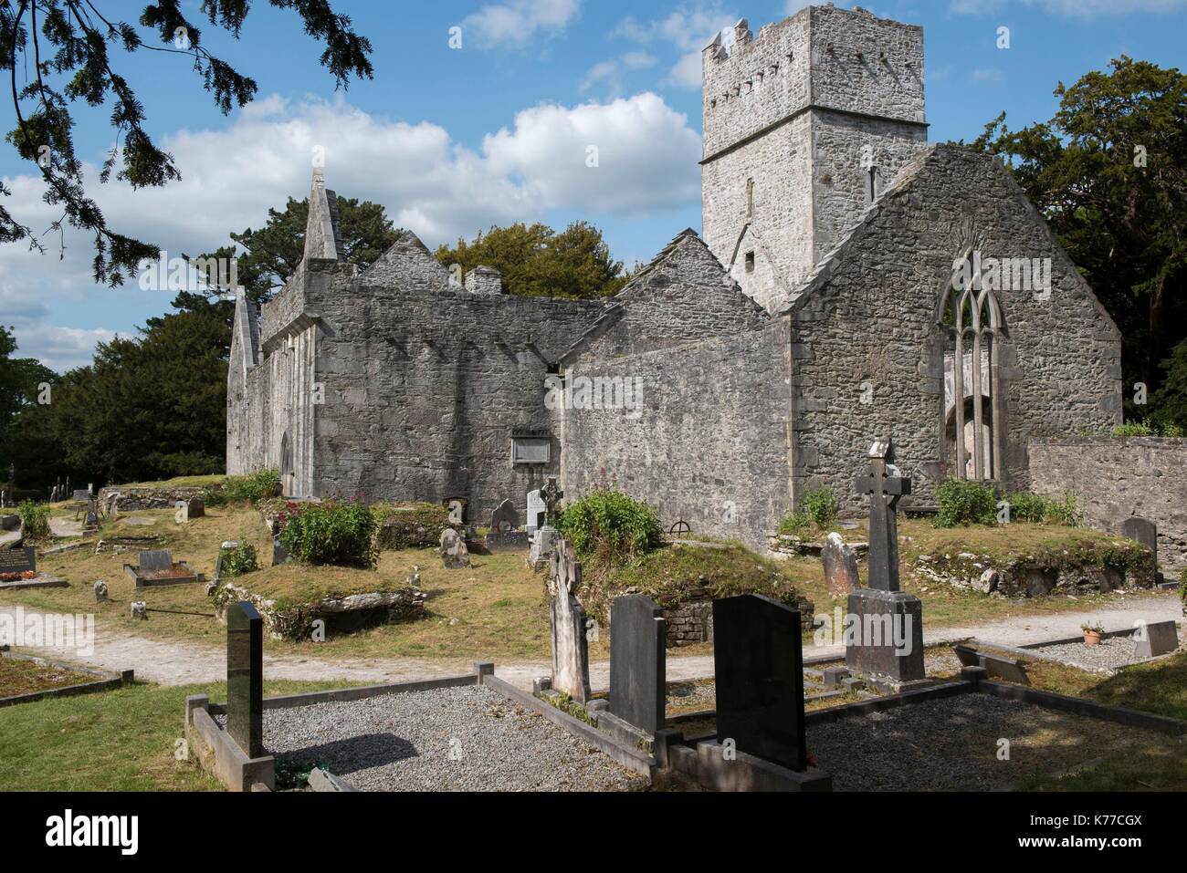 Ireland County Kerry Killarney National Park Muckross Abbey