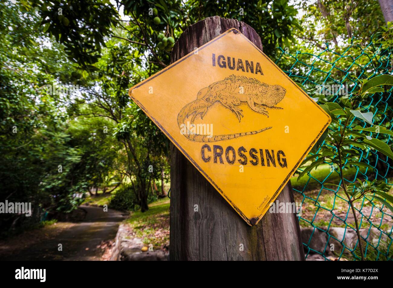 United Kingdom, Montserrat, Englishspeaking Caribbean, Gingerbread