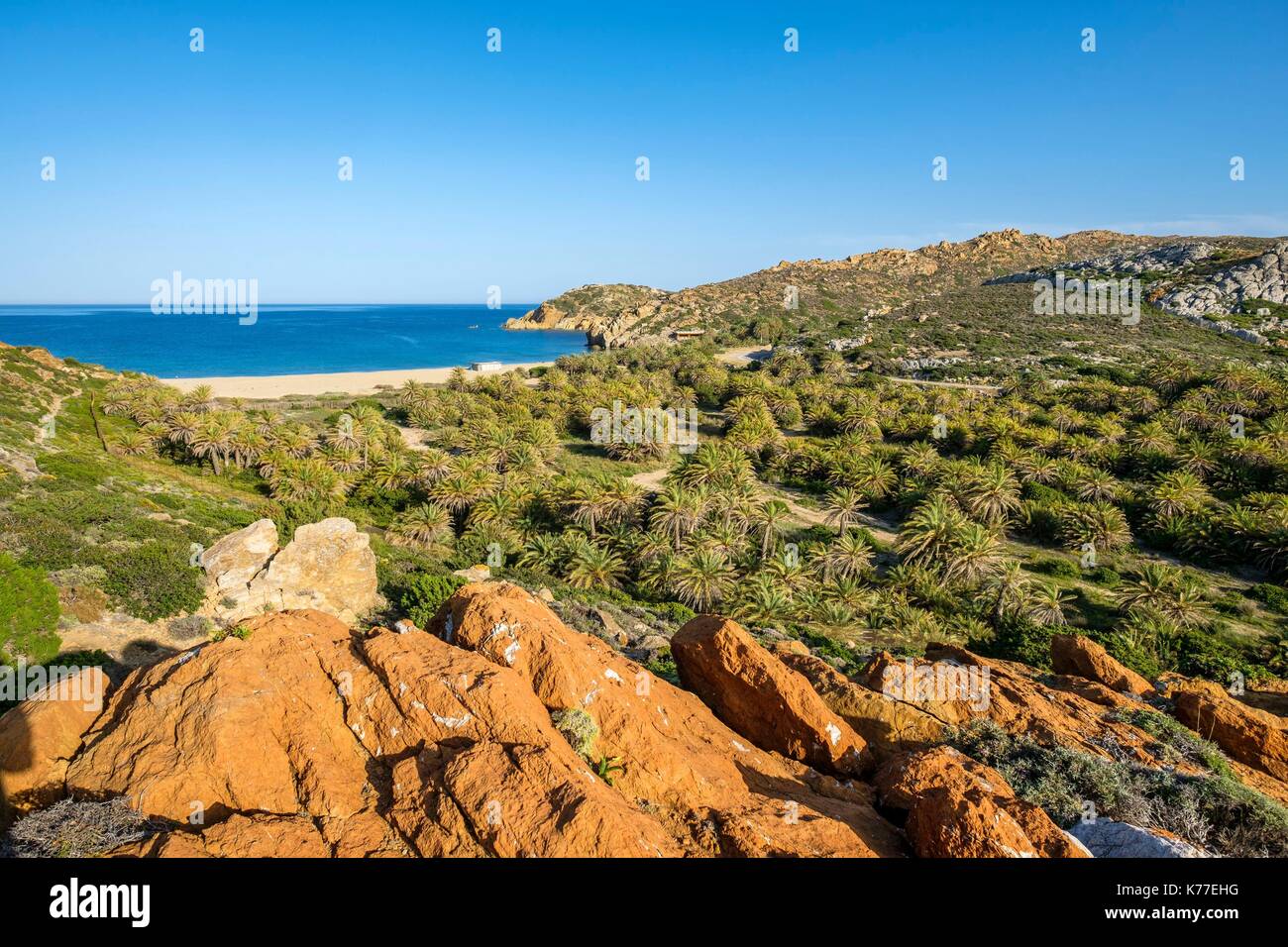Greece, Eastern Crete, Lassithi district, Sitia Nature park is part of the UNESCO Global Geoparks, Palekastro area, Vai beach lined with a natural palm grove, unique in Europe (Phoenix Theophrastii palm trees) Stock Photo