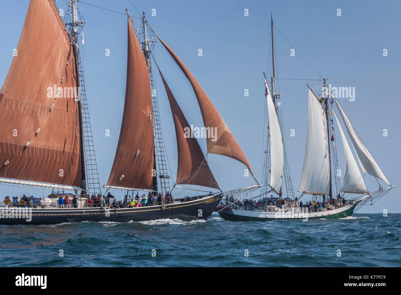 United States, Massachusetts, Cape Ann, Gloucester, America's Oldest Seaport, Gloucester Schooner Festival, schooner sailing ships Stock Photo
