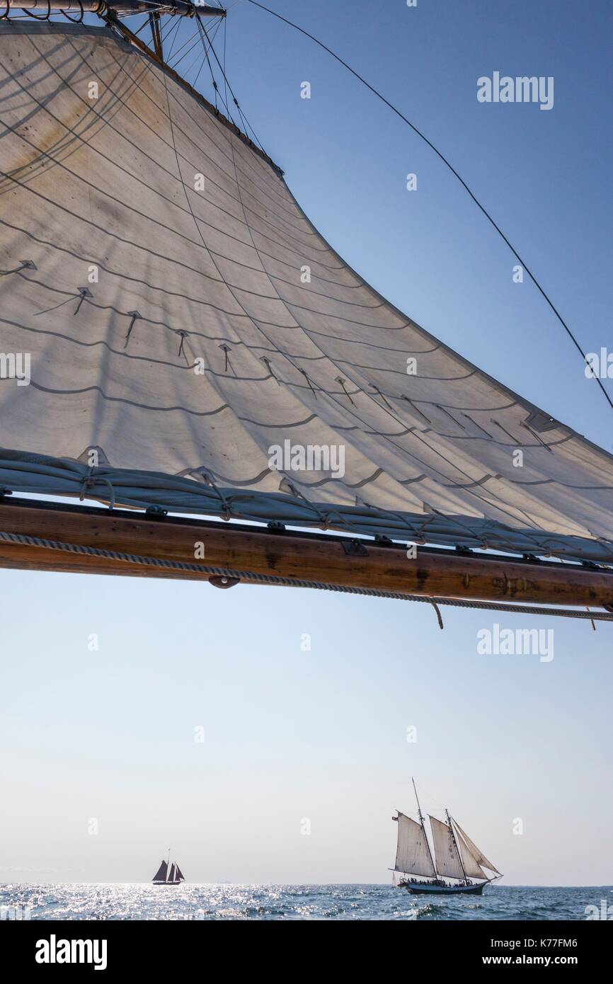 United States, Massachusetts, Cape Ann, Gloucester, America's Oldest Seaport, Gloucester Schooner Festival, schooner sails Stock Photo