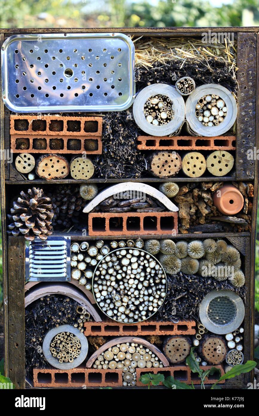 France Vaucluse Avignon Epicurium Living Museum Of Fruits And