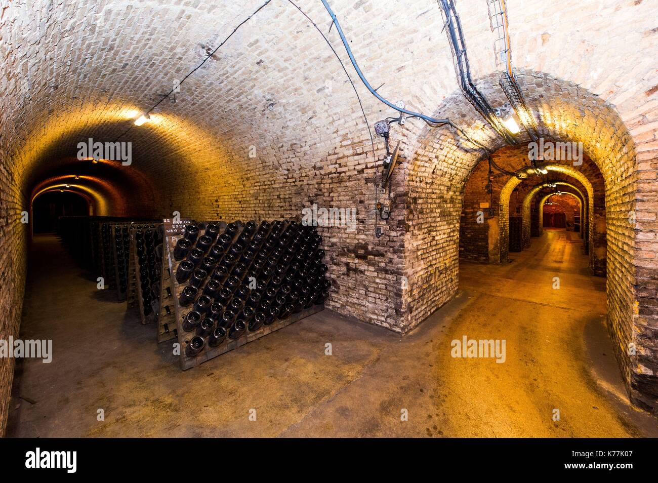 France, Marne, Ay, galleries and cave of Bollinger champagne Stock Photo