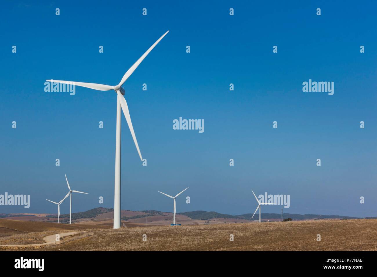 Spain, Andalucia Region, Cadiz Province, Vejer de la Frontera area, modern windmills Stock Photo