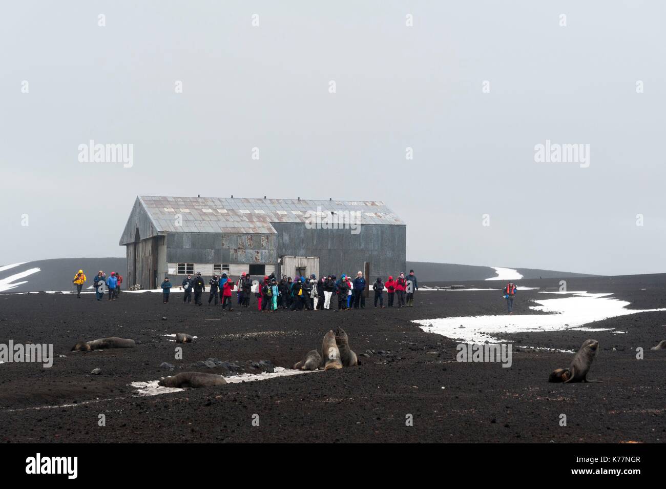 The remains of the Norwegian Hektor whaling station,, Deception Island