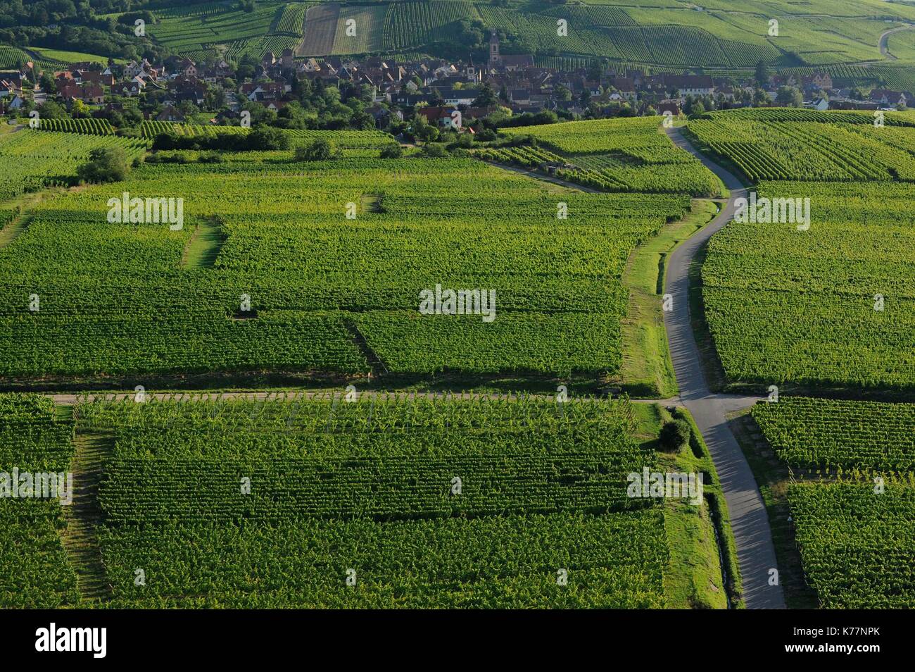 Haut Rin France, Haut Rhin, Wine Route of Alsace, Riquewihr labeled The Most ...
