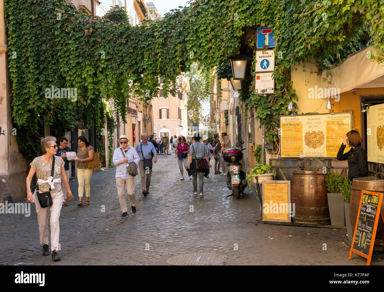 Vine draped street scene in the Trastevere district  of Rome, Italy. Stock Photo