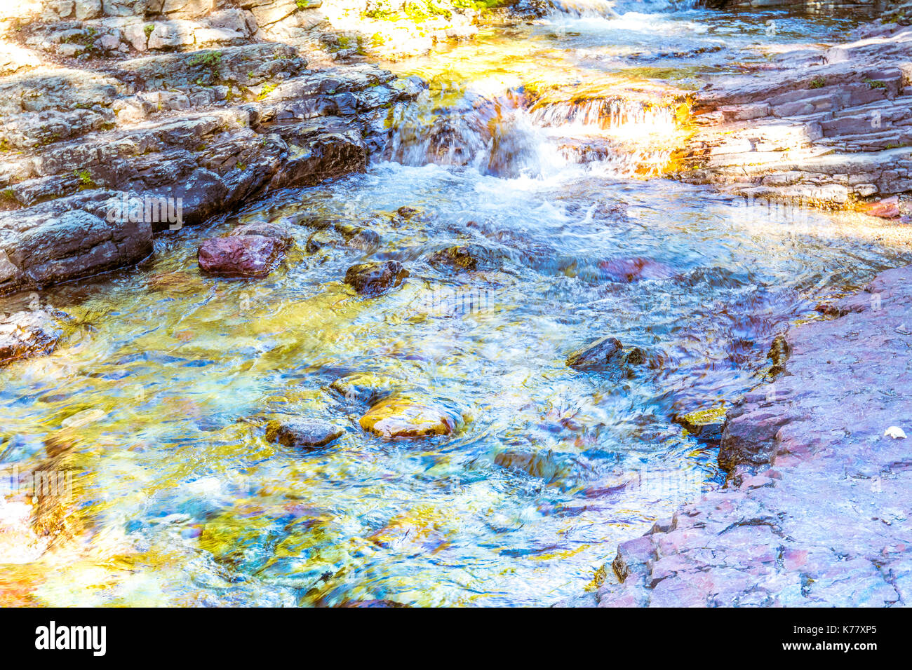 Wildlife wild flowers glacier national park landscapes Stock Photo - Alamy