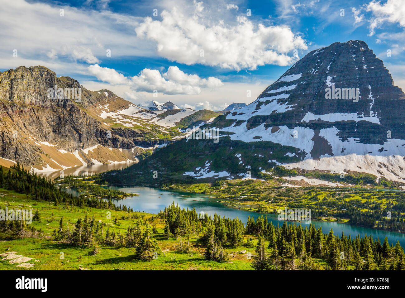 Wildlife wild flowers glacier national park landscapes Stock Photo - Alamy