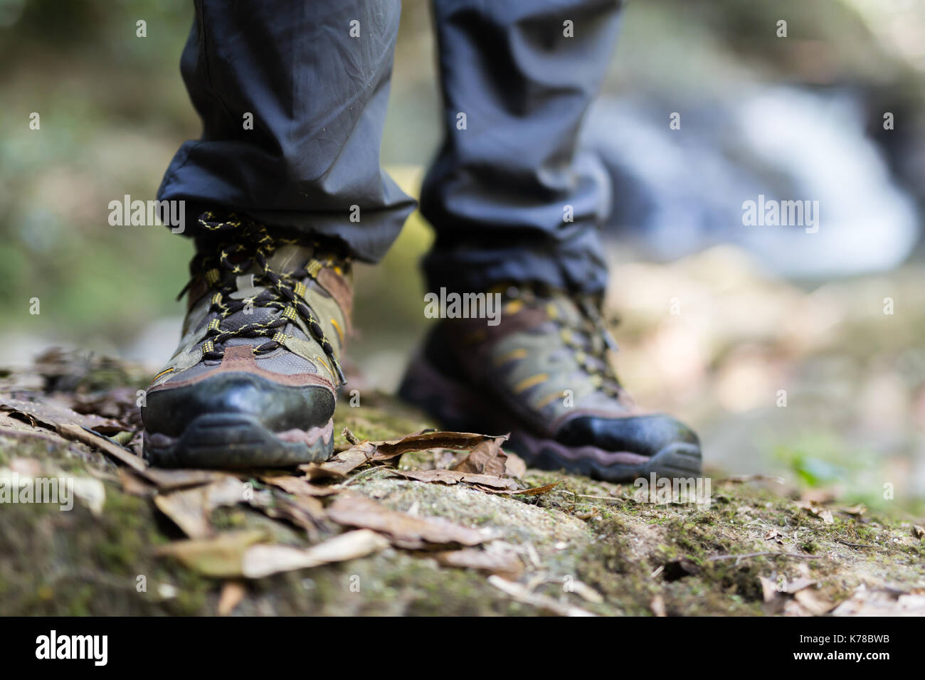 Shoes Man walking on a forest path in autumn and Lifestyle hiking ...