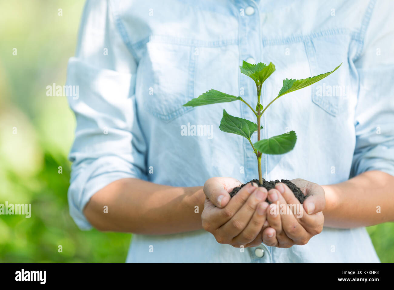 Ecology and people. Благотворительность экология. Экологический знак посади дерево. Саженец в руках. Экологическая справедливость.