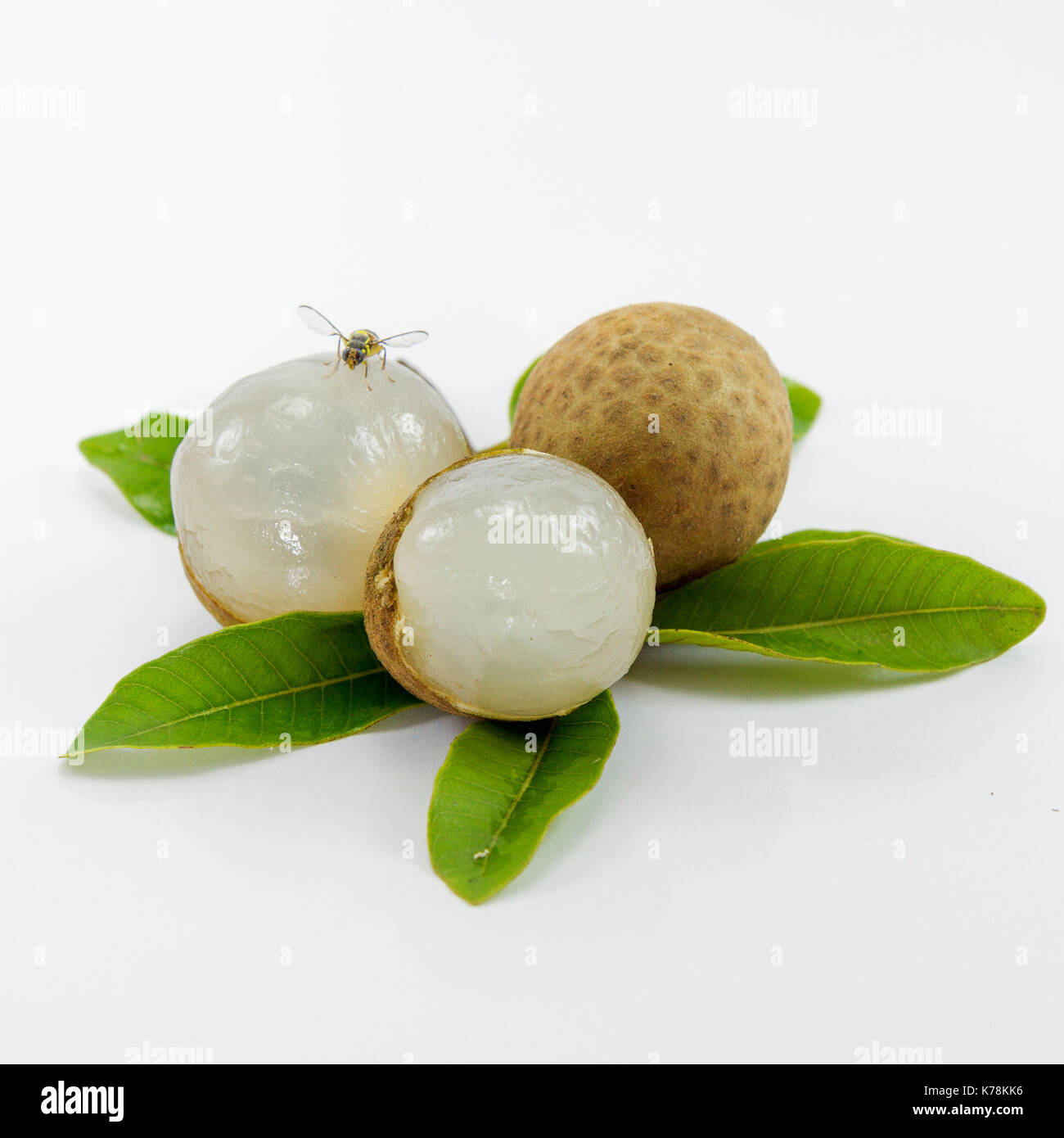 Longan (Dimocarpus longan) on white background Stock Photo - Alamy