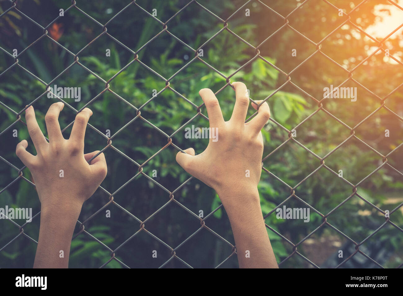 Imprison. concept. Stock Photo