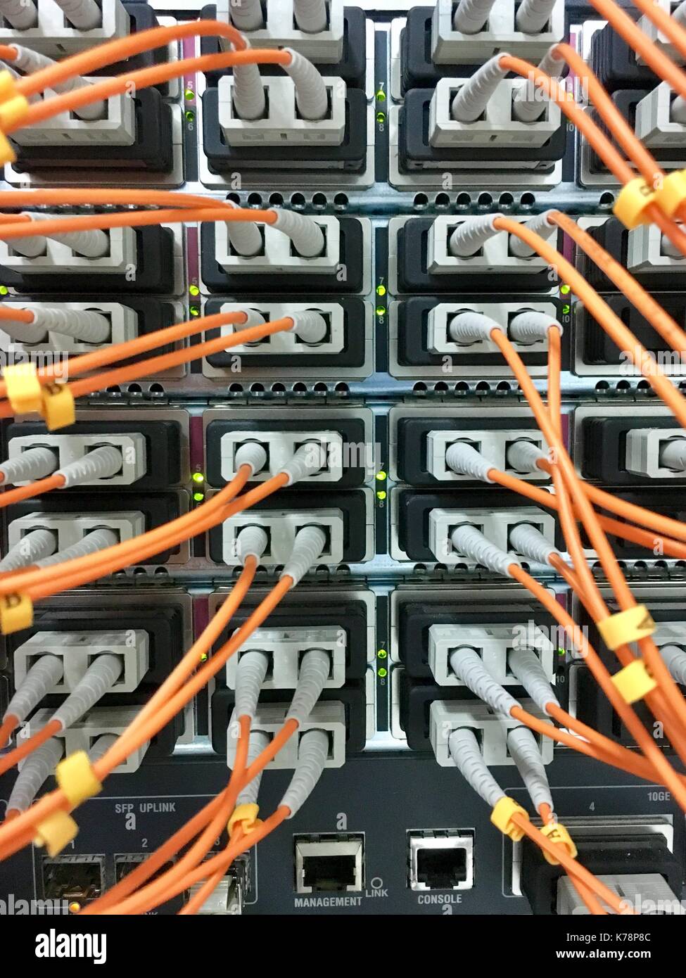 Fiber optic cables with connectors in group Stock Photo Alamy