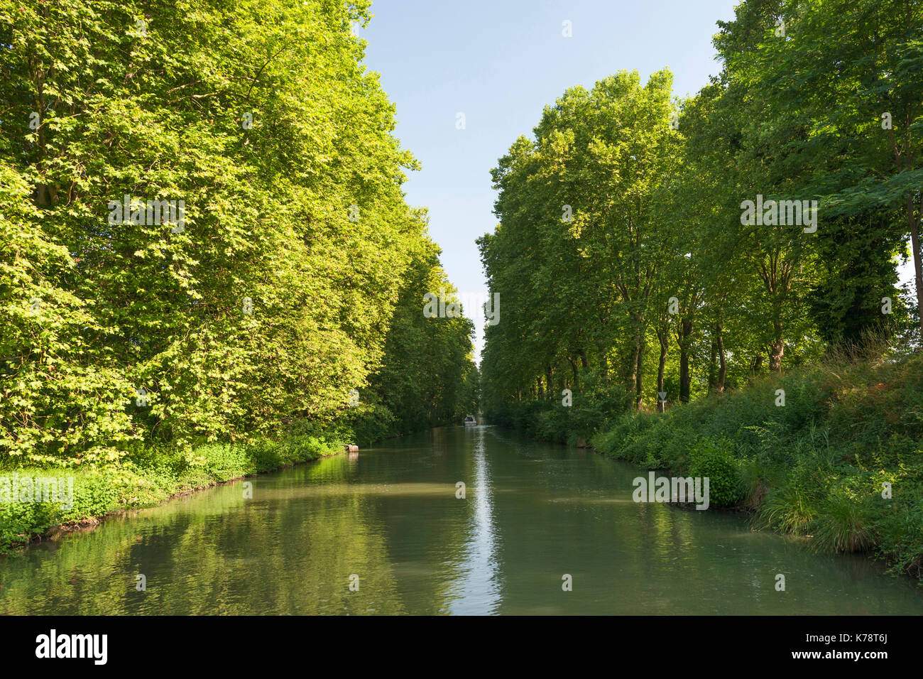 The tree lined Canal latéral à la Garonne in the Dordogne region of southwest France. Stock Photo