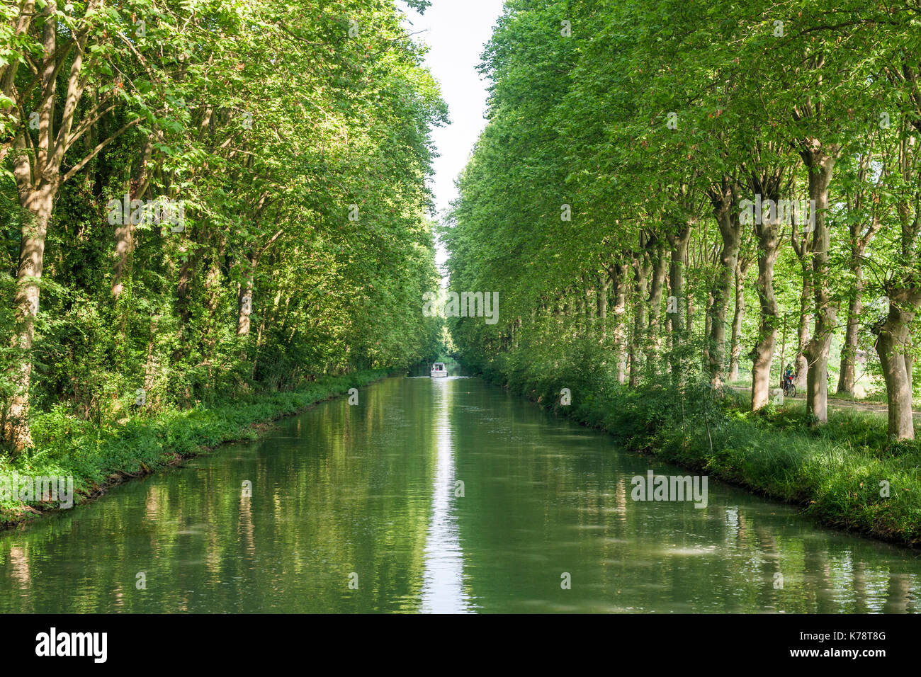 The tree lined Canal latéral à la Garonne in the Dordogne region of southwest France Stock Photo